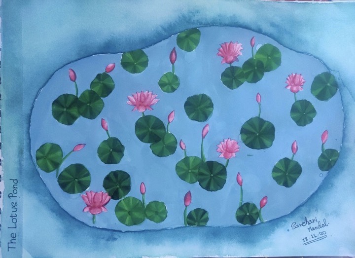 A Lotus Pond
