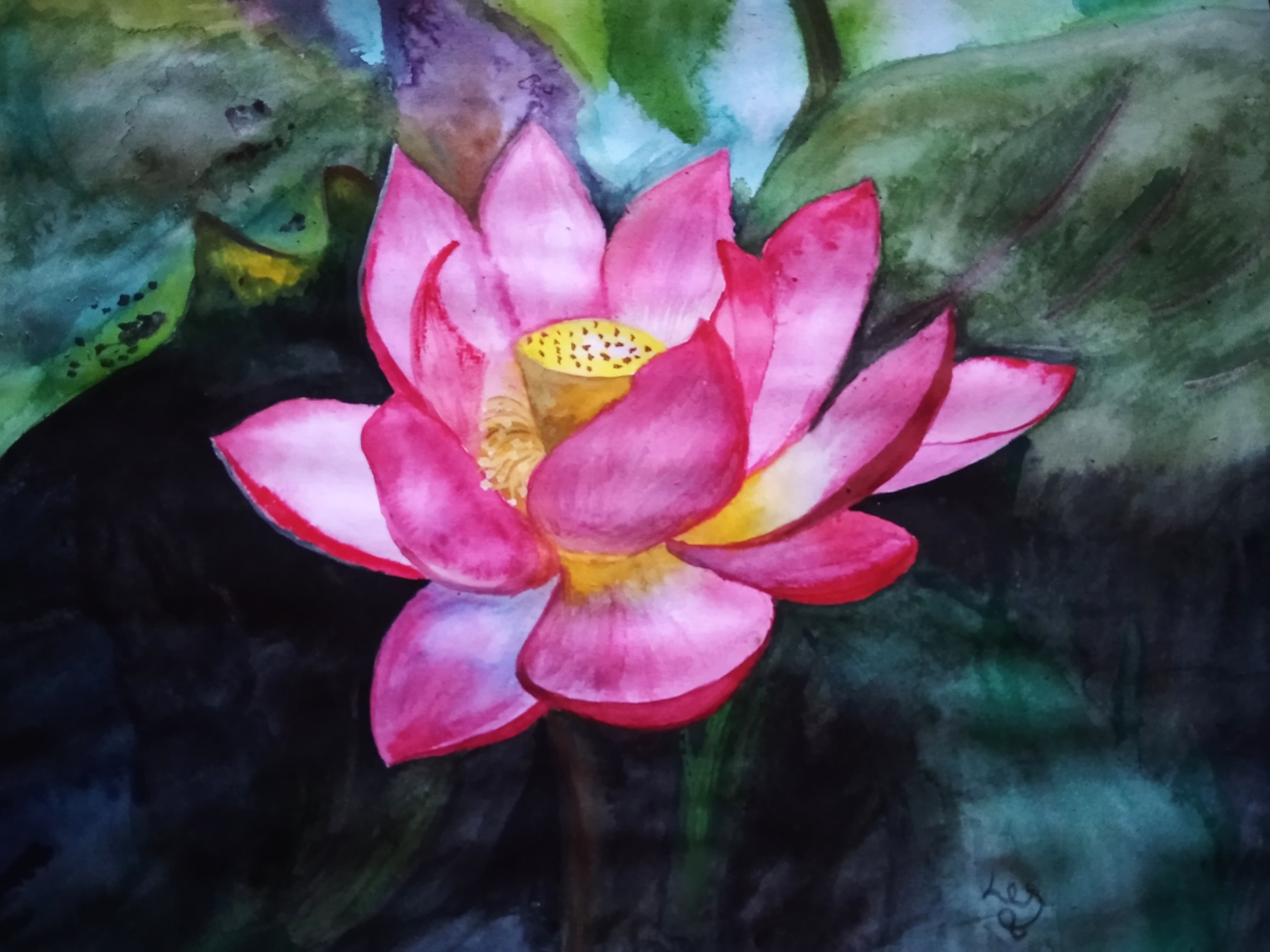 Lotus